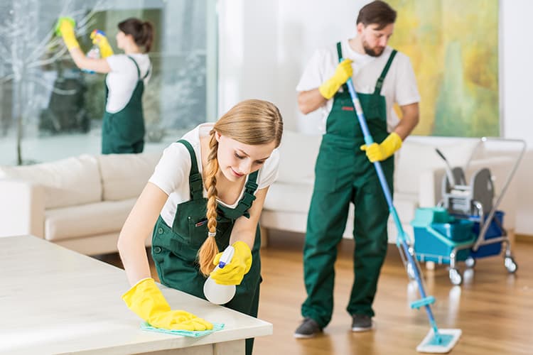 House Deep Cleaning Services