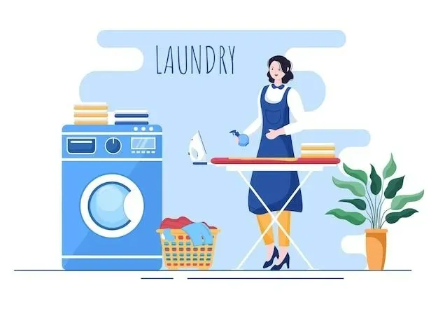 Best laundry services in Lucknow Laundry Uncle