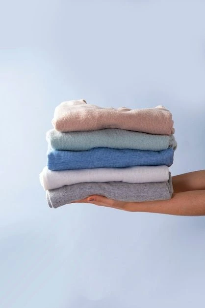 Top 7 Benefits of Professional Laundry Services: Laundry Uncle 1 Premium laundry services near Gomti Nagar